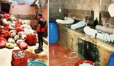 Çok sayıda kişi iştahla yiyor! İmalathanedeki görüntüler mide bulandırdı