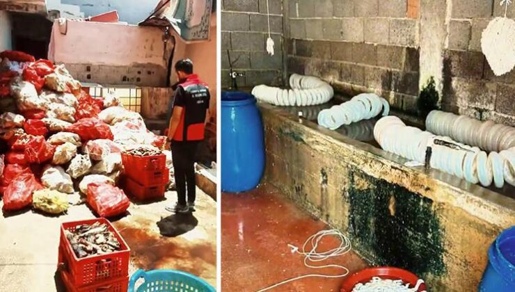 Çok sayıda kişi iştahla yiyor! İmalathanedeki görüntüler mide bulandırdı