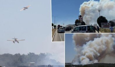 Çanakkale, Bolu ve Mersin’de orman yangını