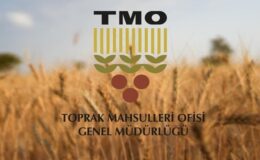 TMO’nun ithalat yoluyla tarım ürünleri almasına ilişkin usul ve esaslar belirlendi