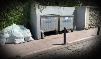 Beşiktaş’ta kahreden olay! Beşiktaş’ta Çöp Konteynerinde Bebek Cesedi Bulundu: Anne Gözaltına Alındı