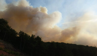 Karabük’te çıkan orman yangınına müdahale ediliyor: 3 mahalle tahliye edildi