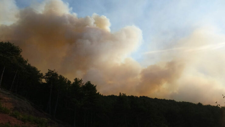 Karabük’te çıkan orman yangınına müdahale ediliyor: 3 mahalle tahliye edildi